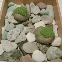 ルカンケ - 