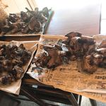 郷土料理ともん - 香茸