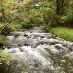 和泉屋傳兵衛 - 美しい流れを間近で見られます