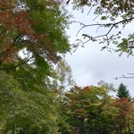 和泉屋傳兵衛 - 星野温座東屋の近くの紅葉