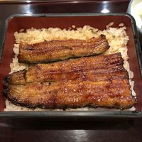 赤坂ふきぬき - 