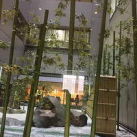 龍天門 - 