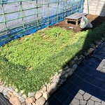 ナガタ店 - ビール呑みながら、除去！