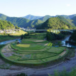 地域発信 まるごと清水庵 - あらぎ島