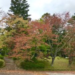 Porcupine - 千光稲荷神社様の桜の紅葉