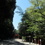 山ばな平八茶屋 - 原生林の糺（ただす）の森