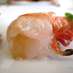 ヌーダ - 足赤海老