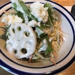 パスタアンドプディング ココロ - サラダ