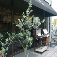 オステリア ブッビーノ - 