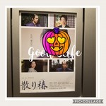 Toho Shinemazu Konsesshon - 散り椿ポスター(J事務所対策)
