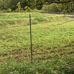 手打ちそば 石庄庵 - 