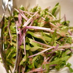 BEER CAFE GAMBRINUS - ごま風味スプラウトサラダ