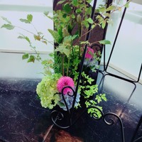 フレンチダイニング トップ オブ キョウト - 