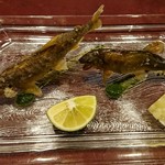 りょうりや 御旅屋 - 琵琶湖  活け鮎  塩焼と素揚げ