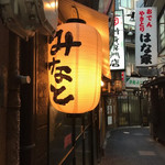 みなと刺身専門店 - 