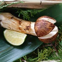 四季のあじわい 松籟亭 - 