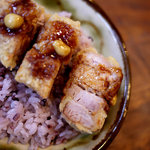 風遊斎 - 角煮ミニカツ飯（ガチマヤ定食）