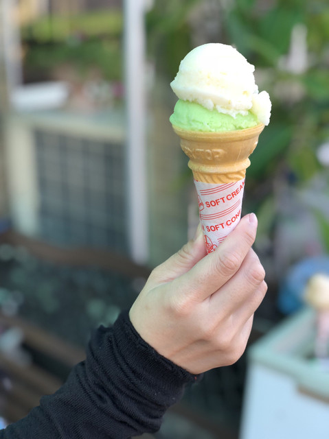 高知土佐アイスクリーム 北助松 アイスクリーム 食べログ