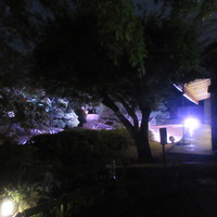 La Saison 筥崎宮迎賓館 - 迎賓館と日本庭園
