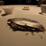 レフェルヴェソンス - 