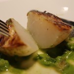 レフェルヴェソンス - 