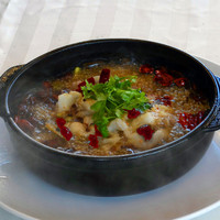 【沸腾活鱼】本日の天然鮮魚の中華風アヒージョ