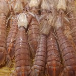 刺身BAR 河岸頭 - 