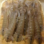 刺身BAR 河岸頭 - 