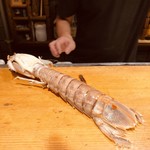 刺身BAR 河岸頭 - 