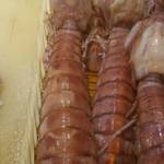 刺身BAR 河岸頭 - 