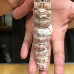 刺身BAR 河岸頭 - 