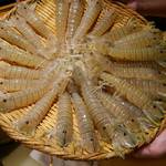 刺身BAR 河岸頭 - 