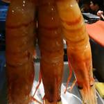 刺身BAR 河岸頭 - 