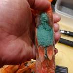 刺身BAR 河岸頭 - 