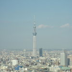 オリエンタルラウンジ - 【おまけ】38階のトイレからスカイタワーがあまりによく見えたのでつい・・・。