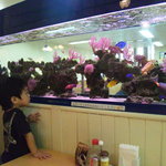 郷土料理 かーらやー - 店内には水槽が！