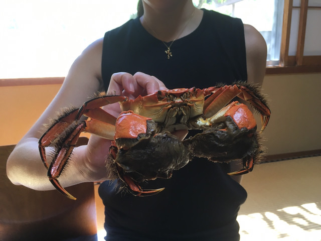 日本の上海蟹ことモクズガニを食す By Chiha964 ファミリー アンド リゾート 川ばた 河津 旅館 食べログ 日本の上海蟹ことモクズガニを食す By Chiha964 ファミリー アンド リゾート 川ばた 河津 旅館 食べログ