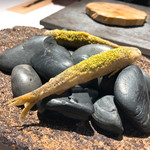 ラ・ヴァガボンド - 