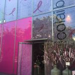 Nicolai Bergmann NOMU - 限定デコレーション