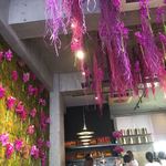 Nicolai Bergmann NOMU - ピンクピンク