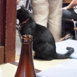 武蔵屋 - お店の方