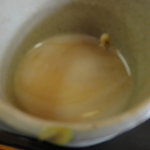 Izumian Wakaya - 汁の蕎麦湯割り