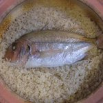 与太呂本店 - 名物「鯛めし」