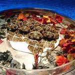 筑紫樓 - 内観 上海蟹が・・・