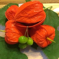 菊乃井 本店 - 
