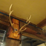 Terroir愛と胃袋 - ダイニング