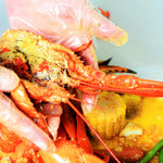 GOLDEN CRAB - 