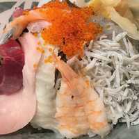 烏賊 鮨ダイニング 鮮助 大宮東口本店 - 