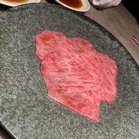 USHIGORO S. GINZA - 