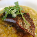 レ ファーブル ボンジュール - ヘダイのブランチャ